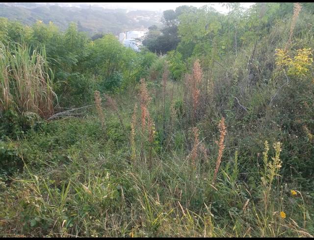 915M² VACANT LAND FOR SALE IN BLUFF